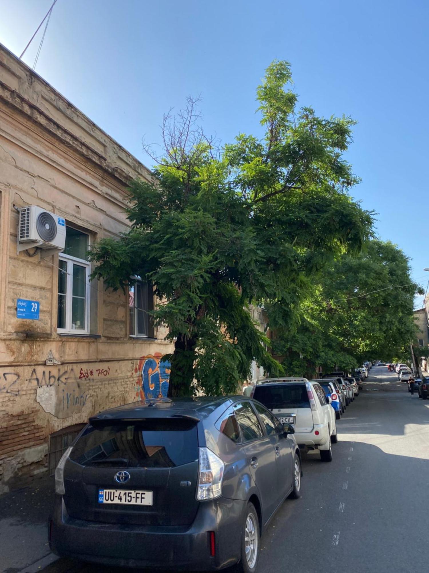 Old Tbilisi City Center, Two - Room Apartment 外观 照片
